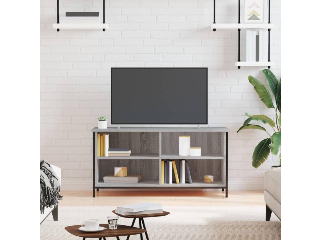 Gray Engineered Wood TV Stand, 100 x 40 x 50 cm