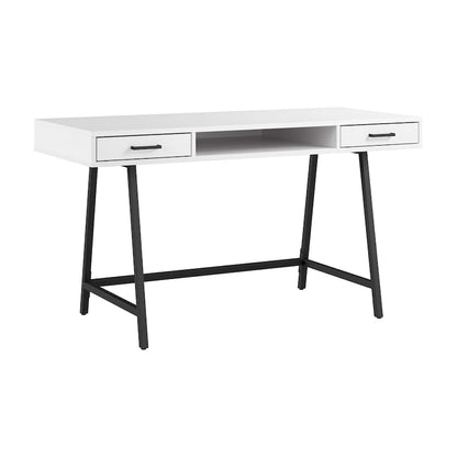 Bush Furniture Steele 54W Writing Computer Desk with Storage